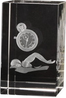 3d laser crystal swimming paperweight